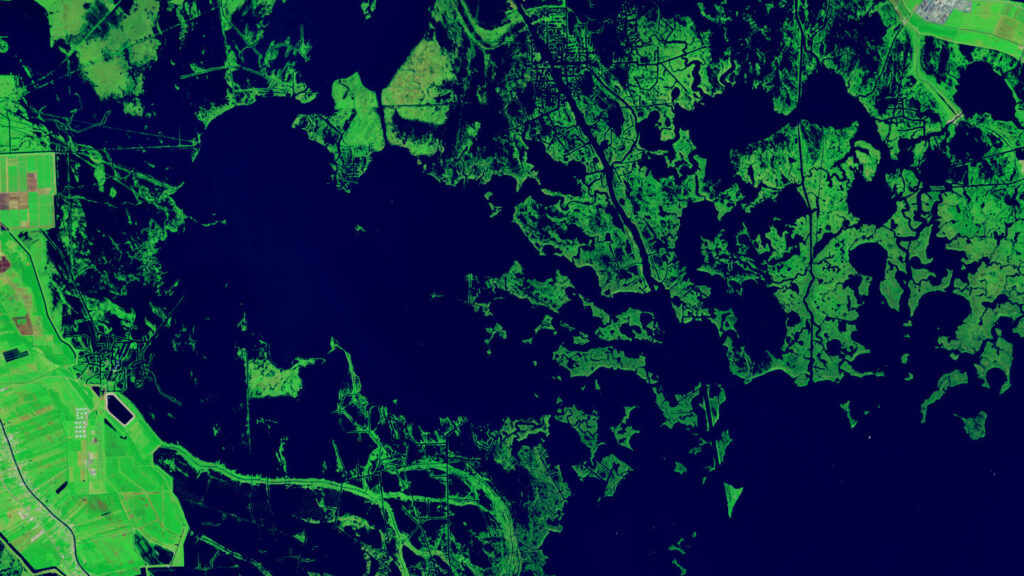 Landsat image of Louisiana's Bay Dosgris in Oct, 2024